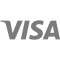 visa payment system